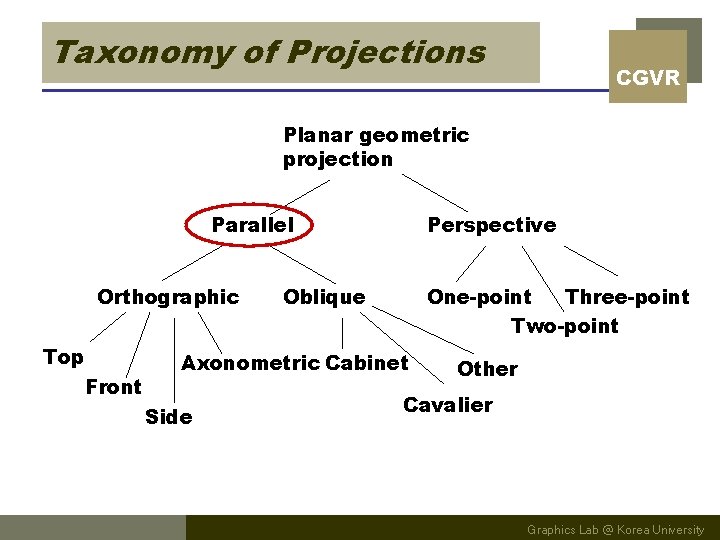 Taxonomy of Projections CGVR Planar geometric projection Parallel Orthographic Top Front Perspective Oblique One-point