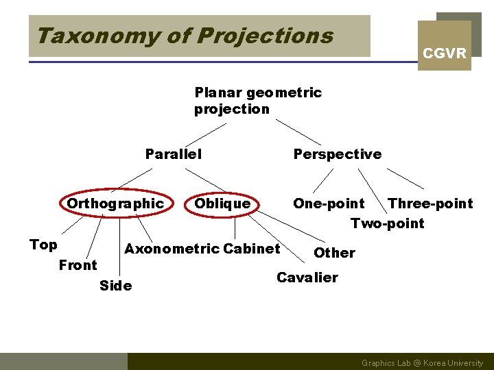 Taxonomy of Projections CGVR Planar geometric projection Parallel Orthographic Top Front Perspective Oblique One-point
