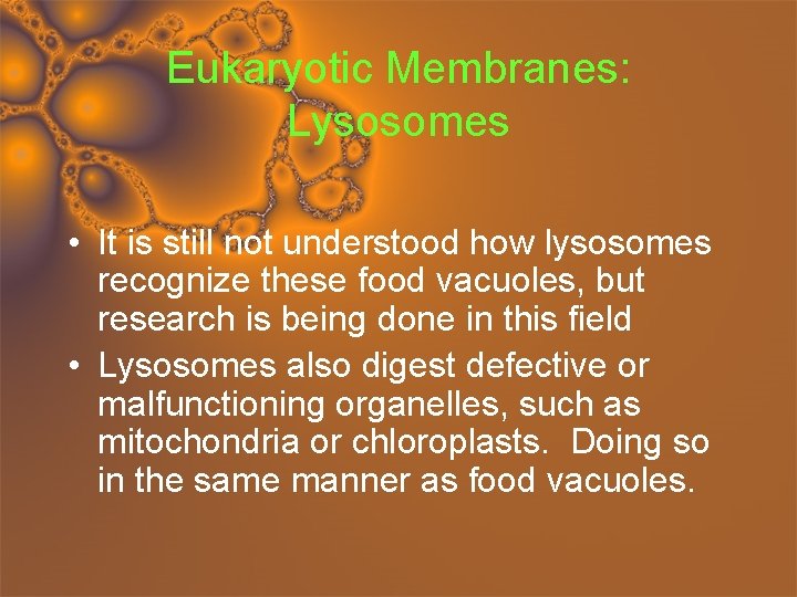 Eukaryotic Membranes: Lysosomes • It is still not understood how lysosomes recognize these food