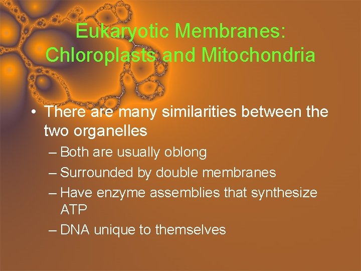 Eukaryotic Membranes: Chloroplasts and Mitochondria • There are many similarities between the two organelles