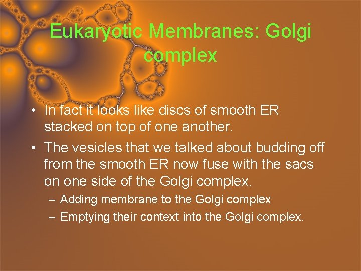 Eukaryotic Membranes: Golgi complex • In fact it looks like discs of smooth ER