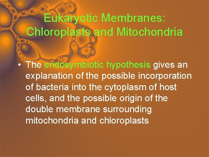 Eukaryotic Membranes: Chloroplasts and Mitochondria • The endosymbiotic hypothesis gives an explanation of the