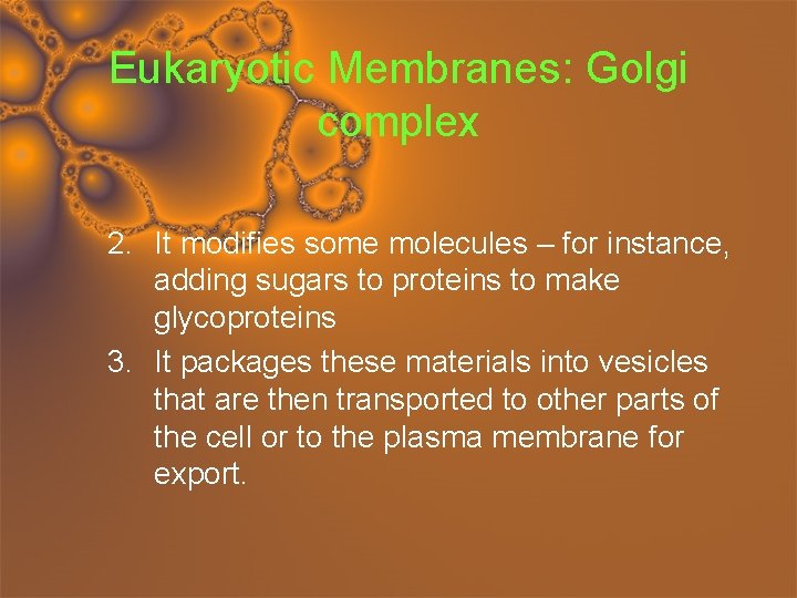 Eukaryotic Membranes: Golgi complex 2. It modifies some molecules – for instance, adding sugars