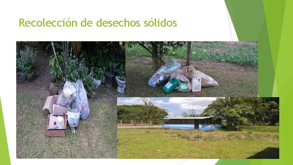 Recolección de desechos sólidos 