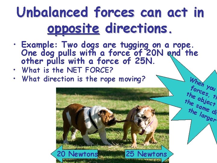 Unbalanced forces can act in opposite directions. • Example: Two dogs are tugging on