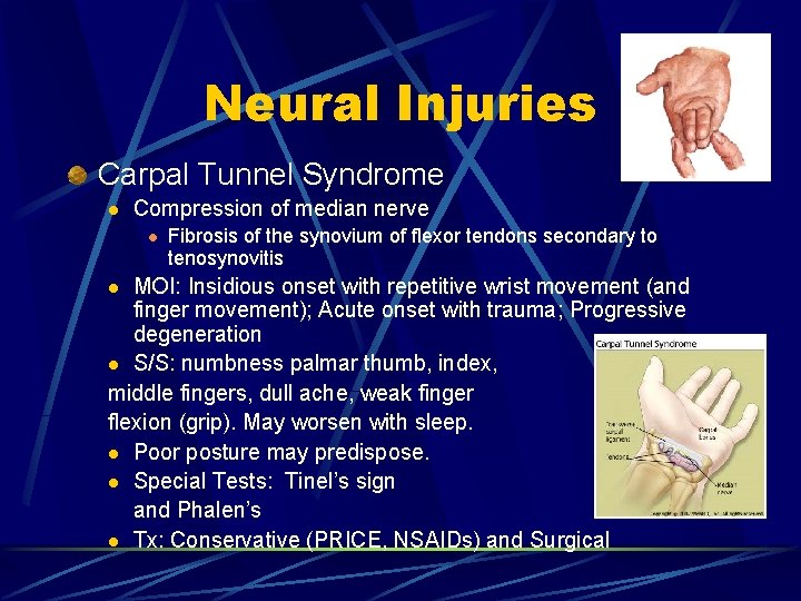 Neural Injuries Carpal Tunnel Syndrome l Compression of median nerve l Fibrosis of the