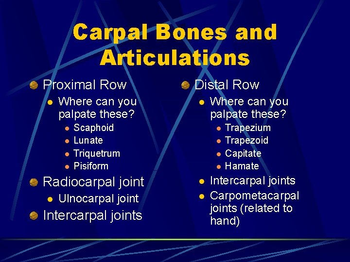 Carpal Bones and Articulations Proximal Row l Where can you palpate these? l l