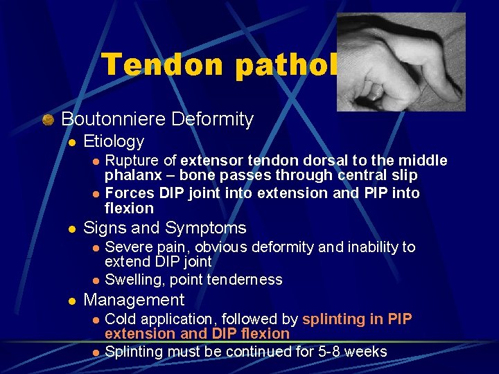 Tendon pathology Boutonniere Deformity l Etiology l l l Signs and Symptoms l l