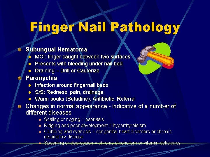 Finger Nail Pathology Subungual Hematoma l l l MOI: finger caught between two surfaces