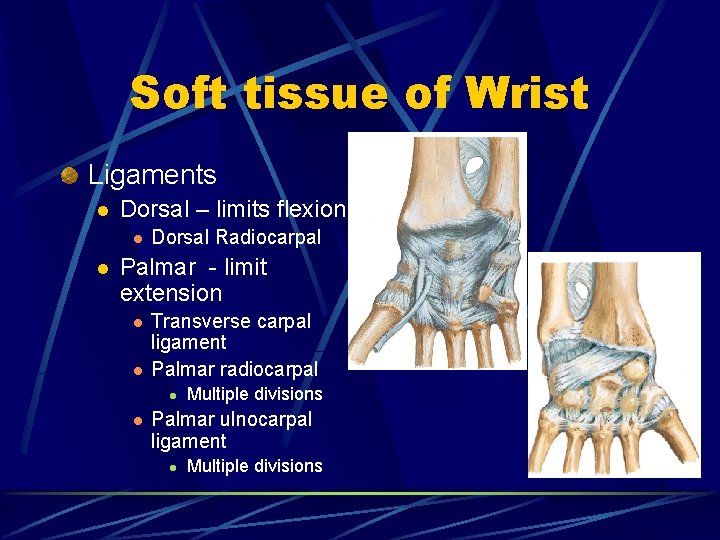 Soft tissue of Wrist Ligaments l Dorsal – limits flexion l l Dorsal Radiocarpal