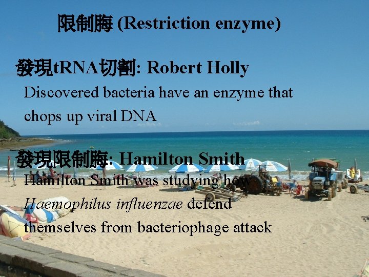 限制脢 (Restriction enzyme) 發現t. RNA切割: Robert Holly Discovered bacteria have an enzyme that chops