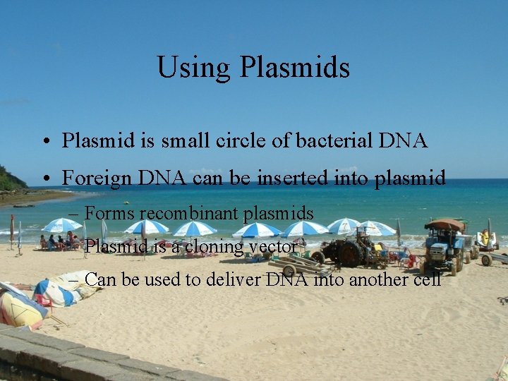 Using Plasmids • Plasmid is small circle of bacterial DNA • Foreign DNA can