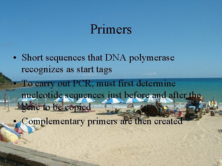 Primers • Short sequences that DNA polymerase recognizes as start tags • To carry