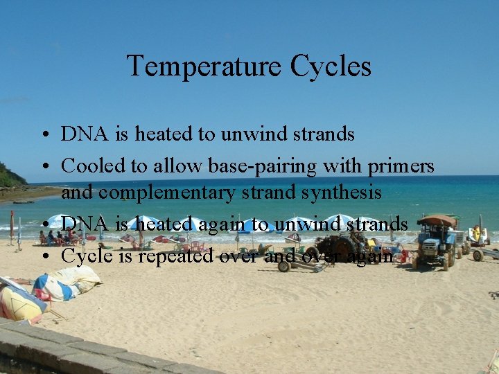 Temperature Cycles • DNA is heated to unwind strands • Cooled to allow base-pairing