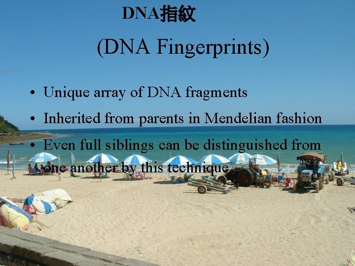 DNA指紋 (DNA Fingerprints) • Unique array of DNA fragments • Inherited from parents in