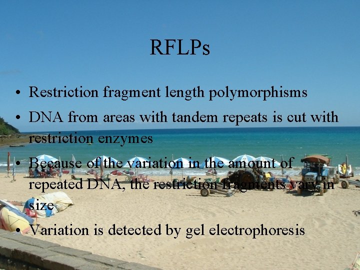 RFLPs • Restriction fragment length polymorphisms • DNA from areas with tandem repeats is