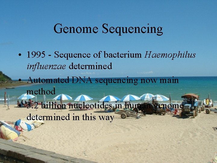 Genome Sequencing • 1995 - Sequence of bacterium Haemophilus influenzae determined • Automated DNA