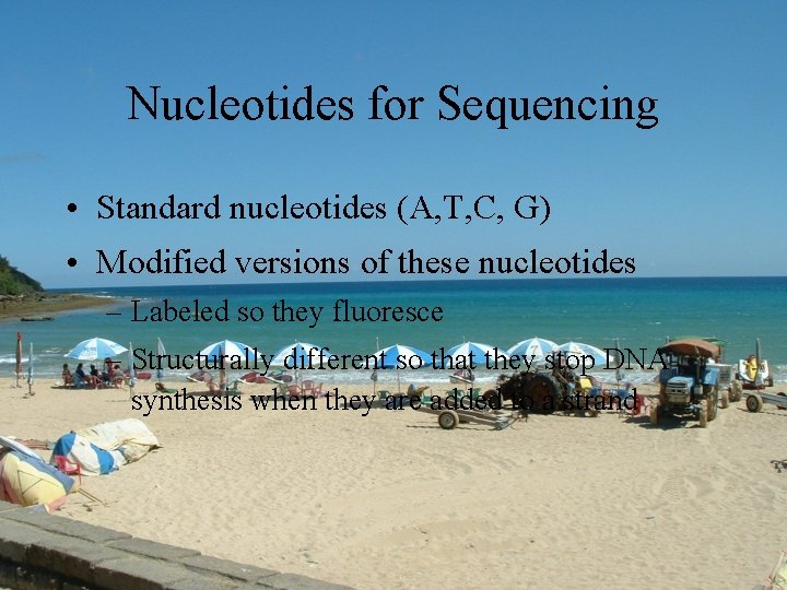 Nucleotides for Sequencing • Standard nucleotides (A, T, C, G) • Modified versions of