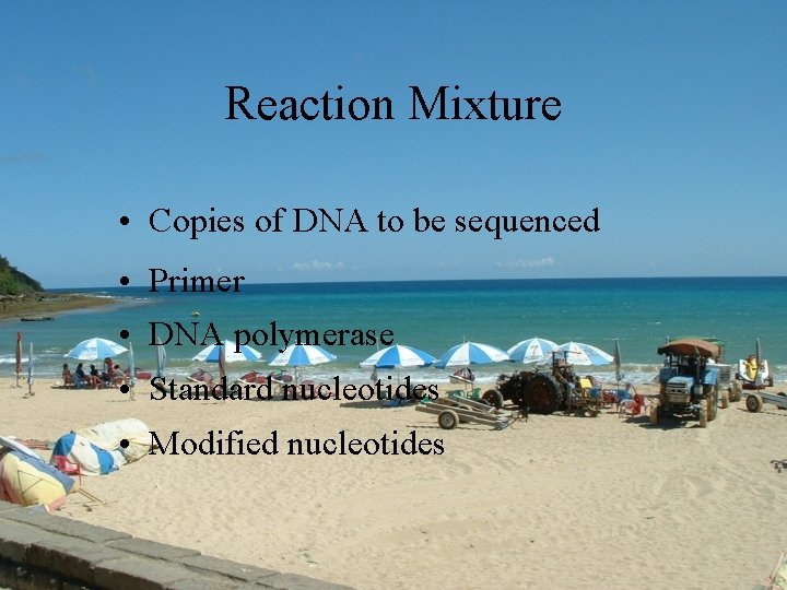 Reaction Mixture • Copies of DNA to be sequenced • Primer • DNA polymerase