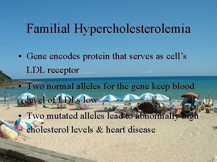 Familial Hypercholesterolemia • Gene encodes protein that serves as cell’s LDL receptor • Two