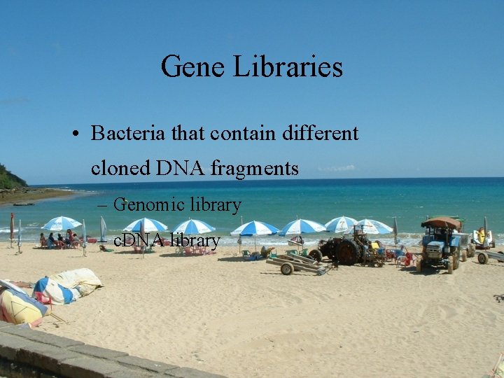 Gene Libraries • Bacteria that contain different cloned DNA fragments – Genomic library –