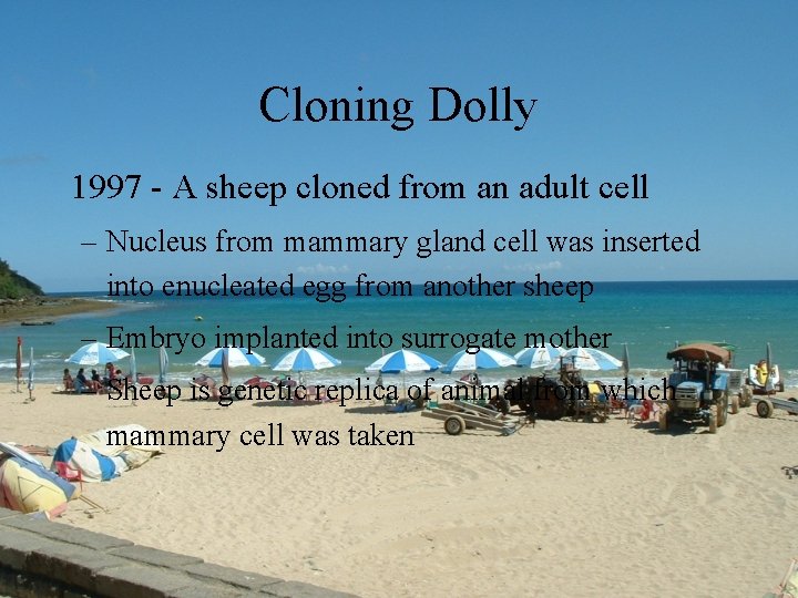 Cloning Dolly 1997 - A sheep cloned from an adult cell – Nucleus from