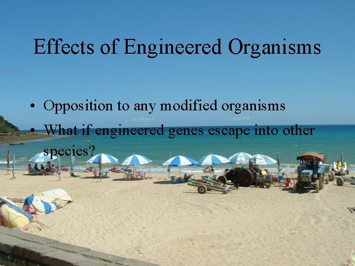 Effects of Engineered Organisms • Opposition to any modified organisms • What if engineered