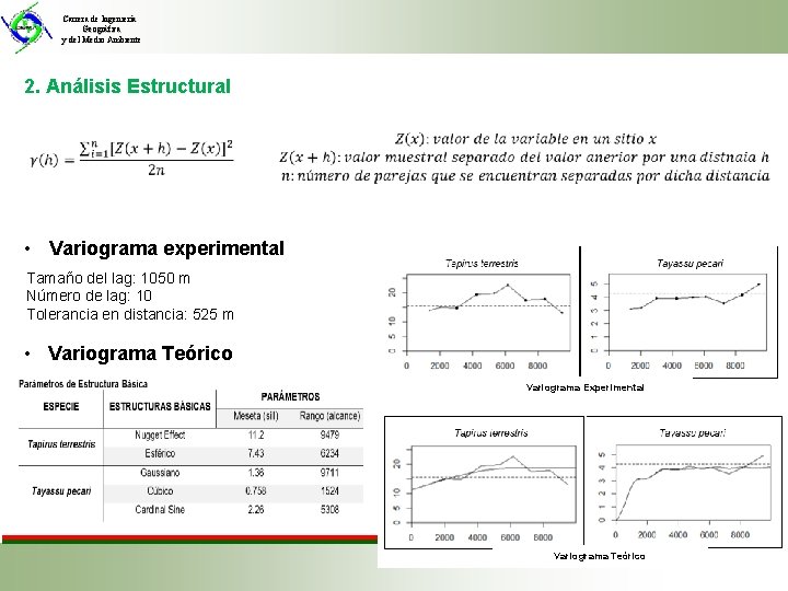 Carrera de Ingeniería Geográfica y del Medio Ambiente 2. Análisis Estructural • Variograma experimental