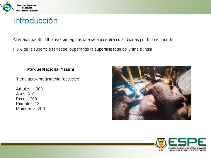 Carrera de Ingeniería Geográfica y del Medio Ambiente Introducción Alrededor de 30 000 áreas