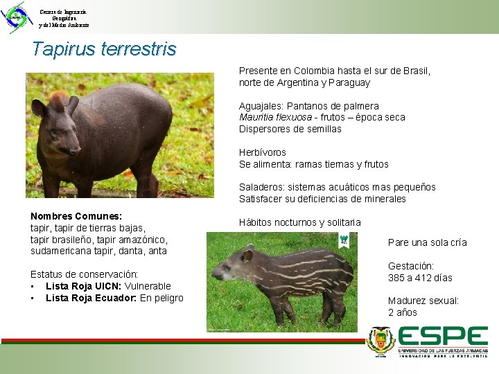 Carrera de Ingeniería Geográfica y del Medio Ambiente Tapirus terrestris Presente en Colombia hasta