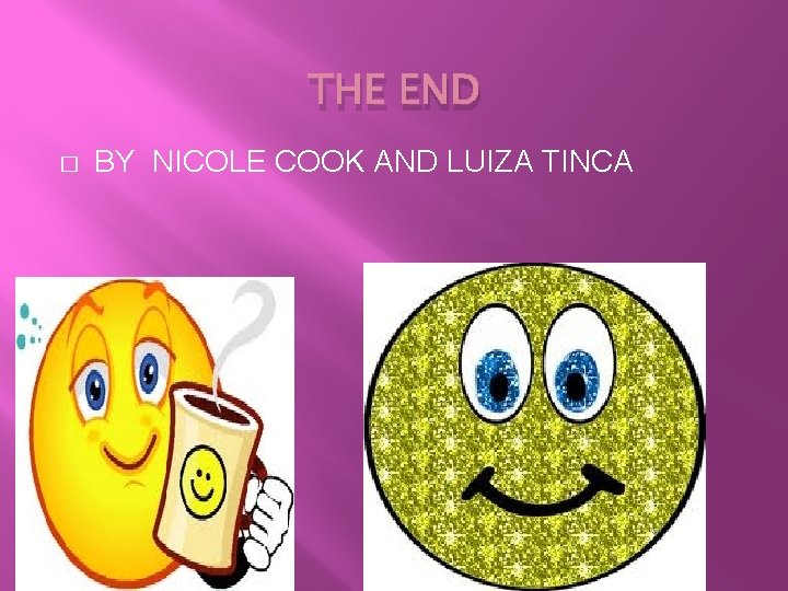 THE END � BY NICOLE COOK AND LUIZA TINCA 