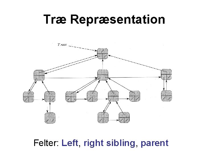 Træ Repræsentation Felter: Left, right sibling, parent 
