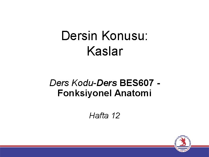 Dersin Konusu: Kaslar Ders Kodu-Ders BES 607 Fonksiyonel Anatomi Hafta 12 