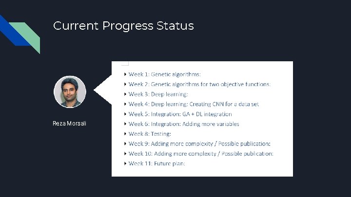 Current Progress Status Reza Morsali 