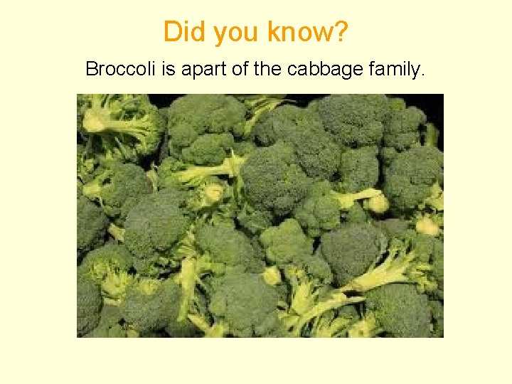 Did you know? Broccoli is apart of the cabbage family. 