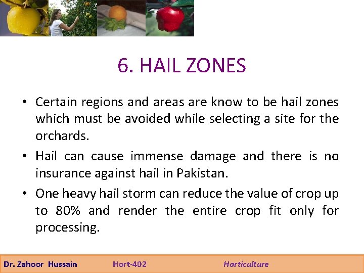 6. HAIL ZONES • Certain regions and areas are know to be hail zones