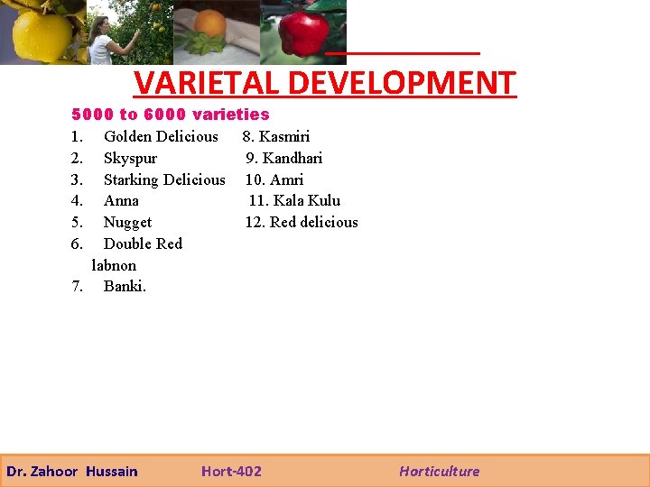 VARIETAL DEVELOPMENT 5000 to 6000 varieties 1. Golden Delicious 8. Kasmiri 2. Skyspur 9.