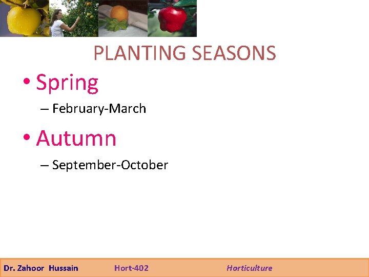 PLANTING SEASONS • Spring – February-March • Autumn – September-October Dr. Zahoor Hussain Hort-402