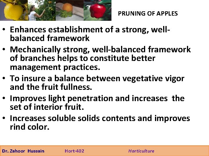 P PRUNING OF APPLES • Enhances establishment of a strong, wellbalanced framework • Mechanically