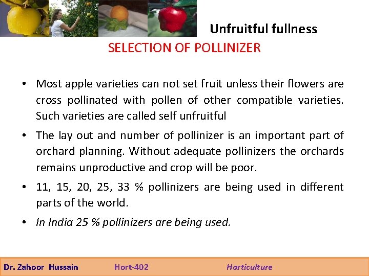 Unfruitful fullness SELECTION OF POLLINIZER • Most apple varieties can not set fruit unless