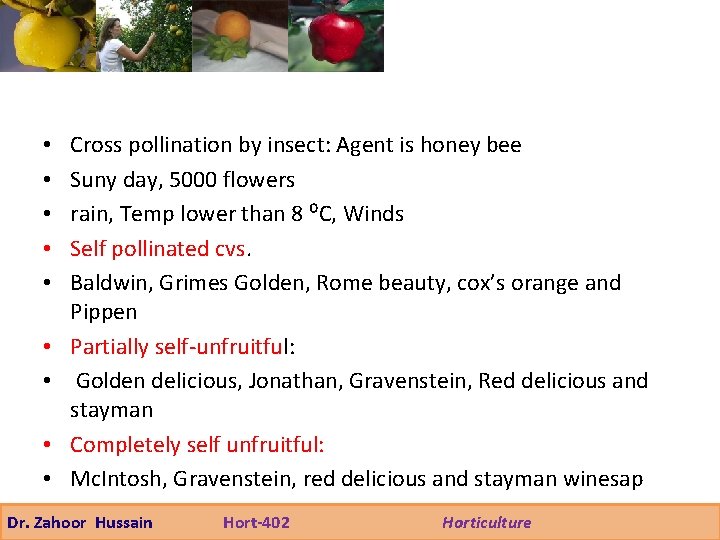  • • • Cross pollination by insect: Agent is honey bee Suny day,