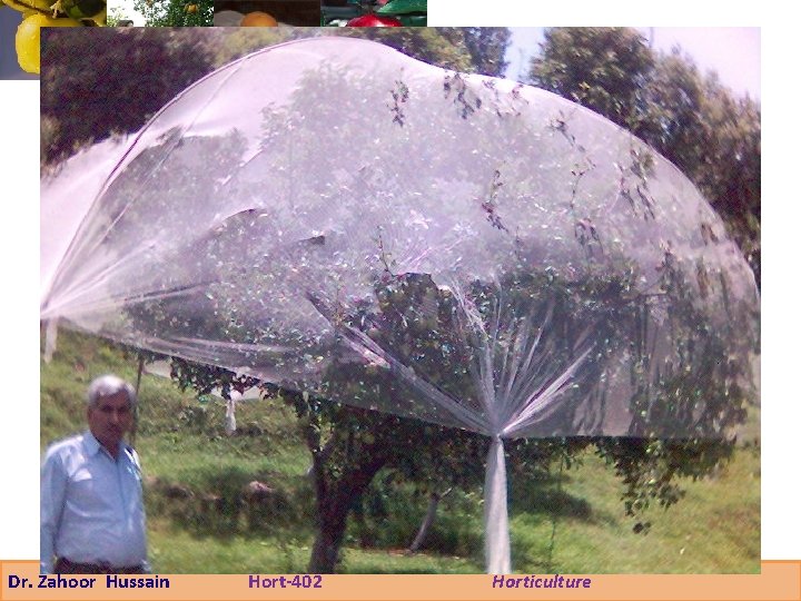 Dr. Zahoor Hussain Hort-402 Horticulture 