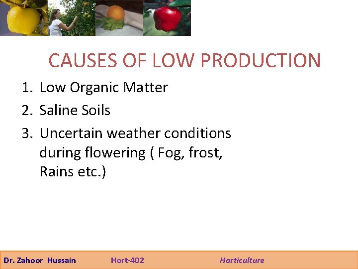 CAUSES OF LOW PRODUCTION 1. Low Organic Matter 2. Saline Soils 3. Uncertain weather