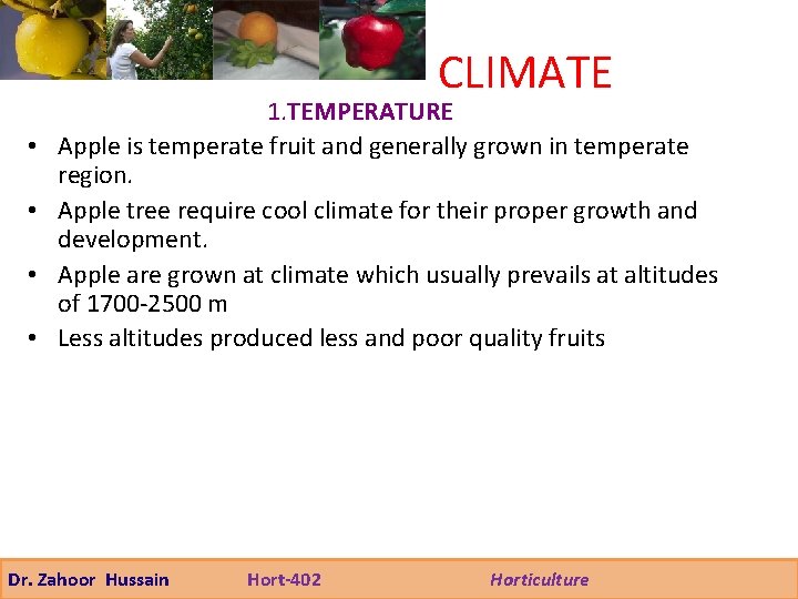 CLIMATE • • 1. TEMPERATURE Apple is temperate fruit and generally grown in temperate