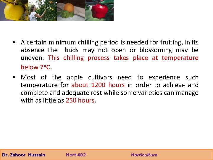  • A certain minimum chilling period is needed for fruiting, in its absence
