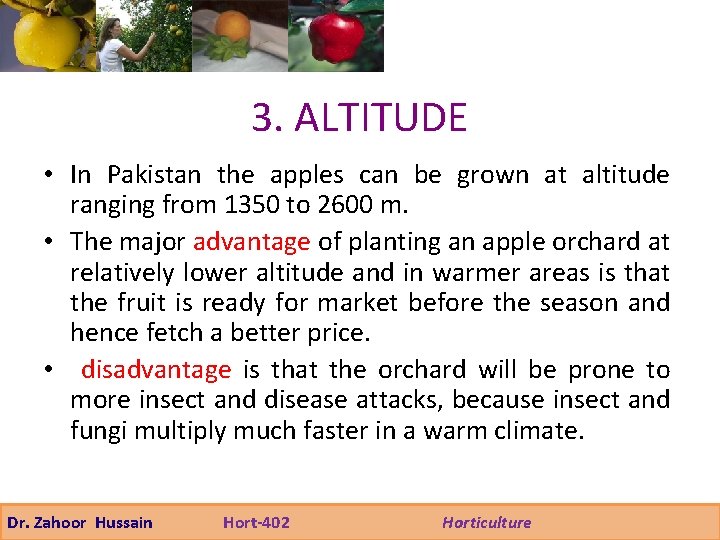 3. ALTITUDE • In Pakistan the apples can be grown at altitude ranging from