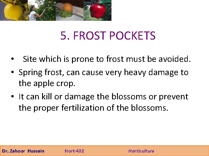 5. FROST POCKETS • Site which is prone to frost must be avoided. •