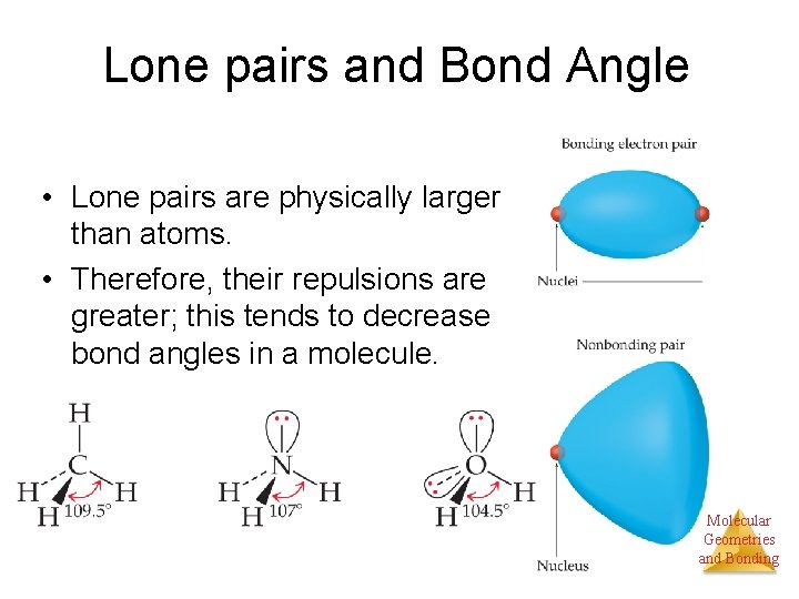 Lone pairs and Bond Angle • Lone pairs are physically larger than atoms. •
