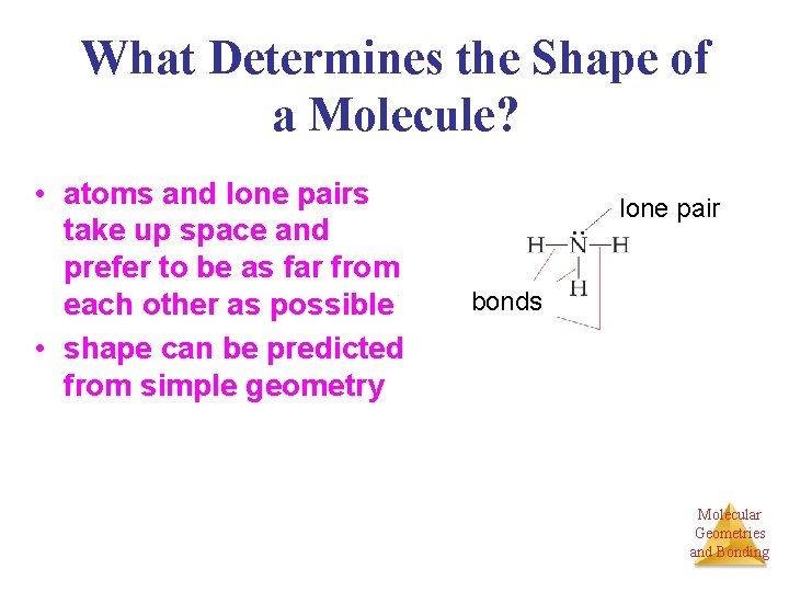 What Determines the Shape of a Molecule? • atoms and lone pairs take up