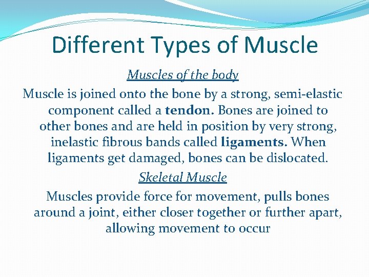 Different Types of Muscles of the body Muscle is joined onto the bone by